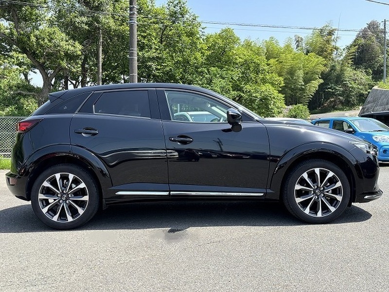 CX-3-8
