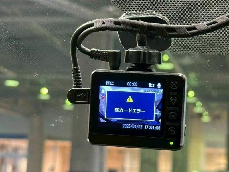 VOXY-10