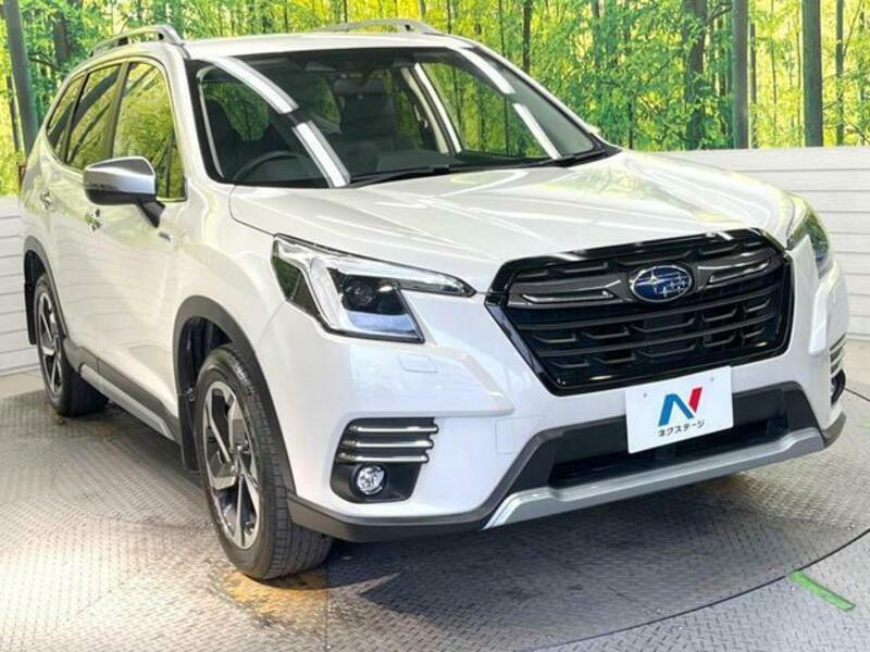 FORESTER