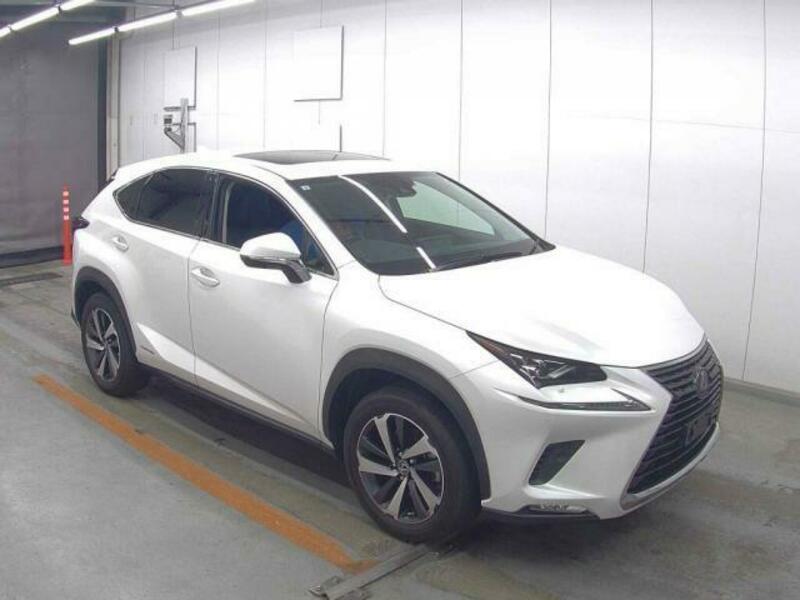 NX
