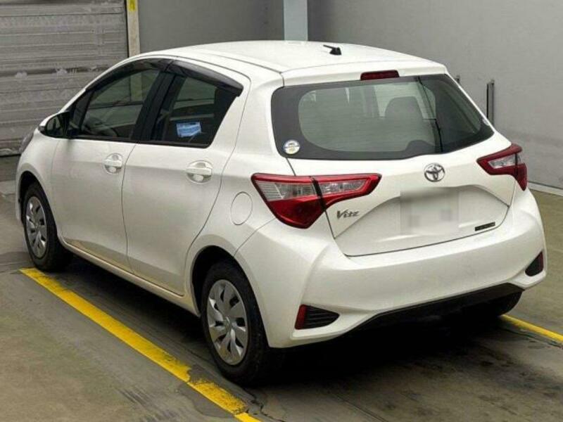 VITZ-1
