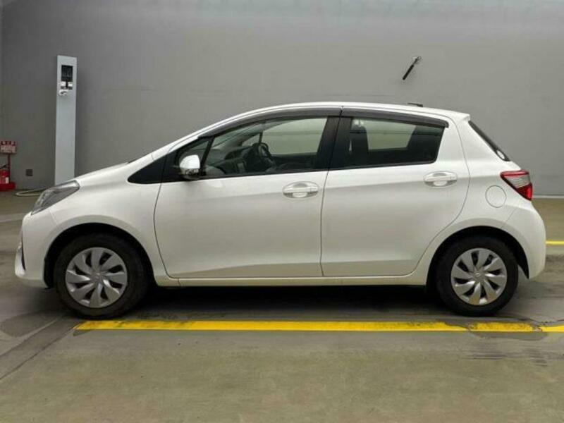 VITZ-12