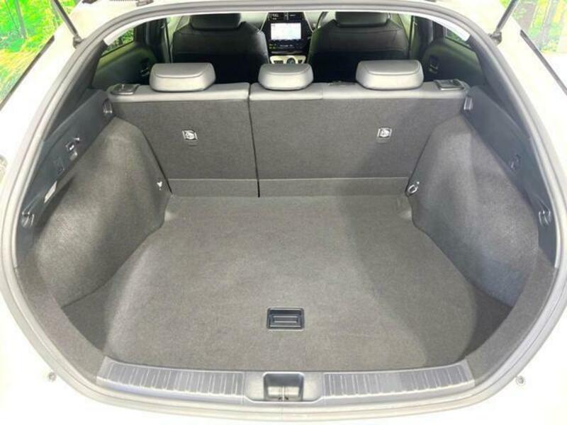 PRIUS-10