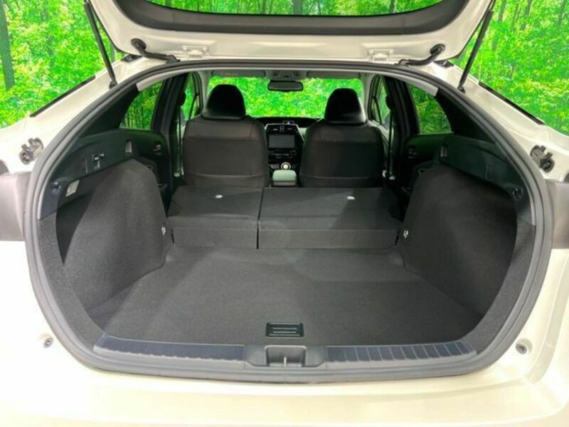PRIUS-10
