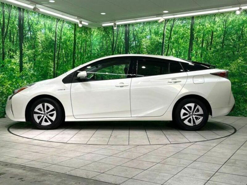 PRIUS-15