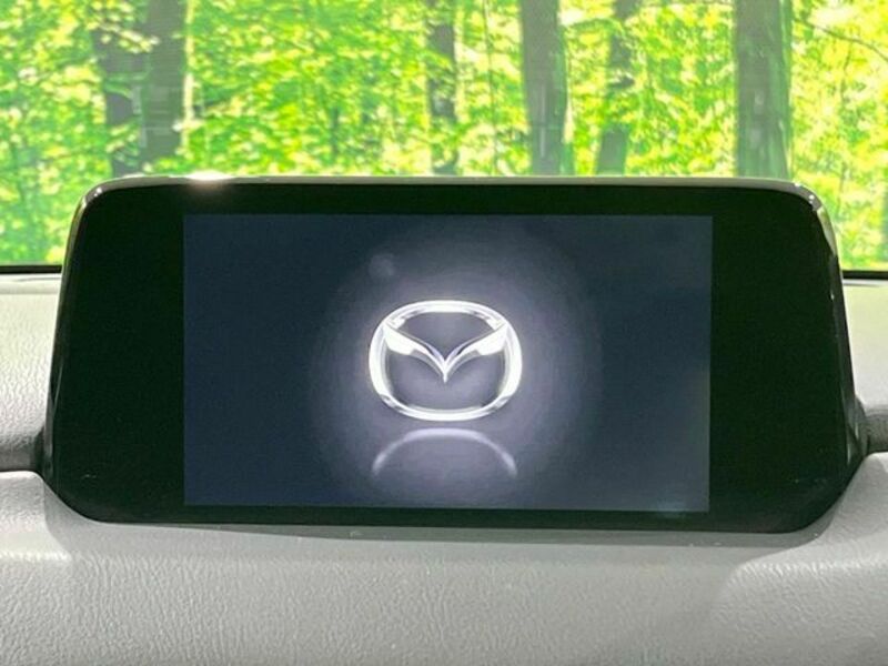 CX-8-2