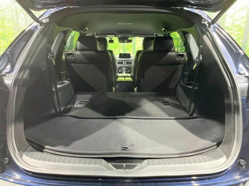 CX-8-10
