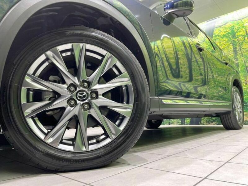 CX-8-13