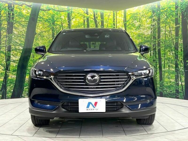CX-8-14