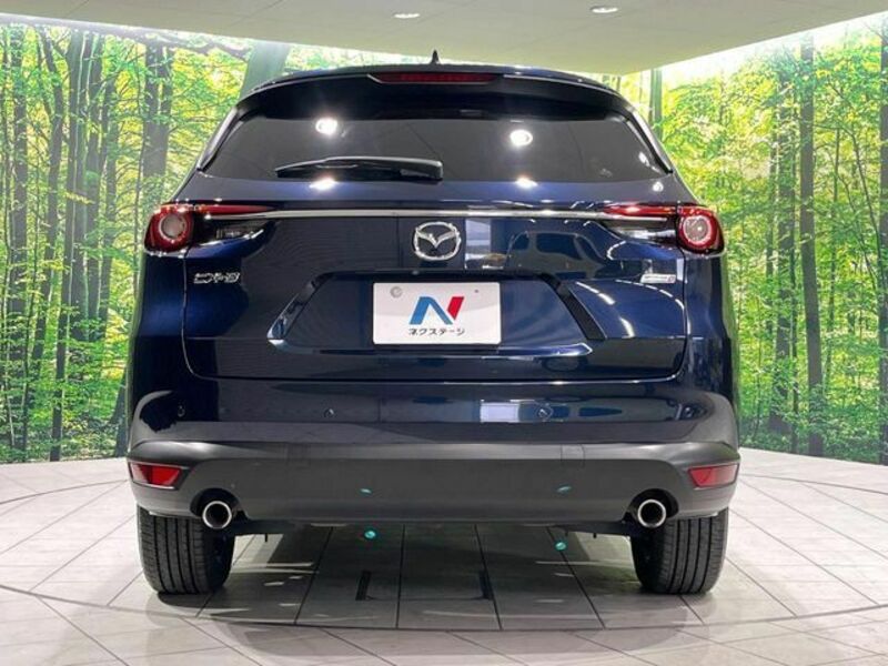 CX-8-15