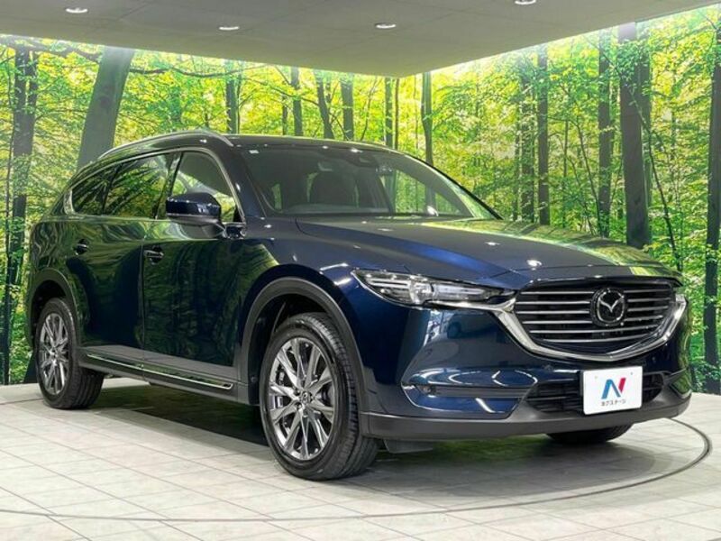 CX-8-16