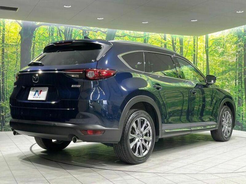 CX-8-17