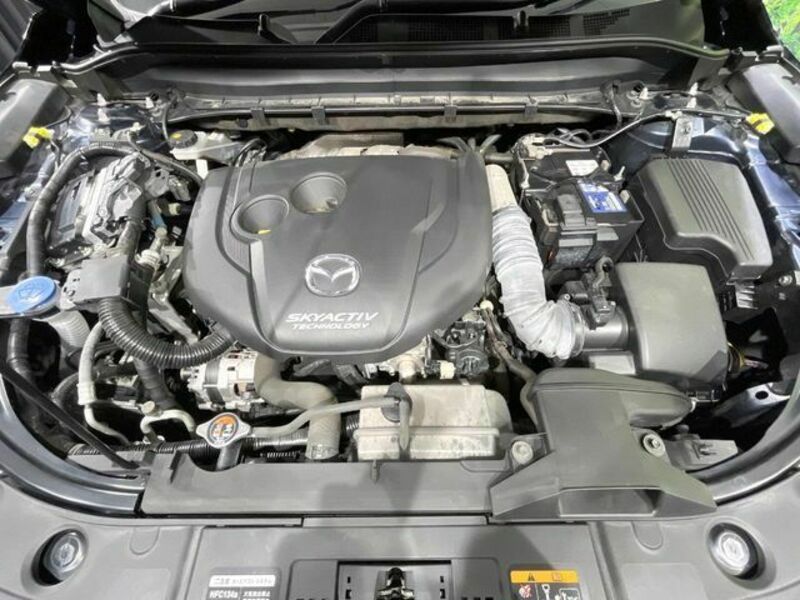 CX-8-18
