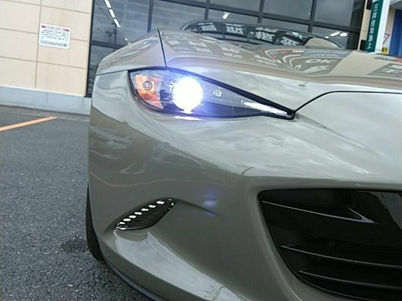 ROADSTER