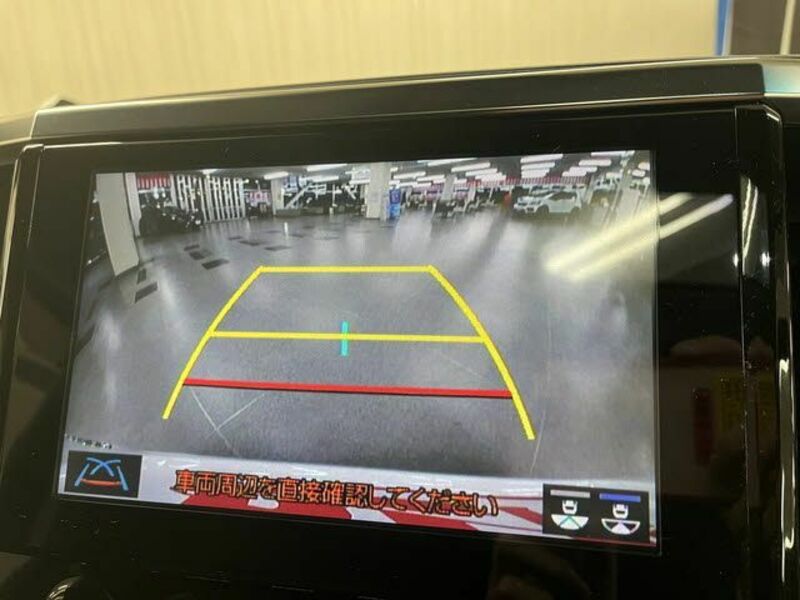 ALPHARD-10