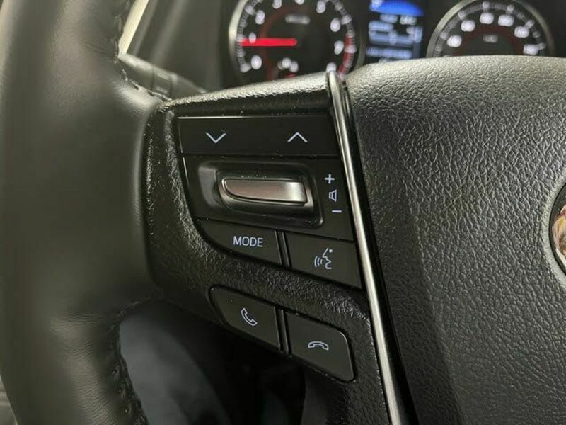 ALPHARD-16