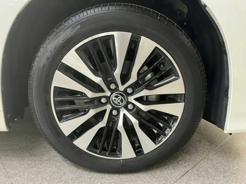 ALPHARD-26