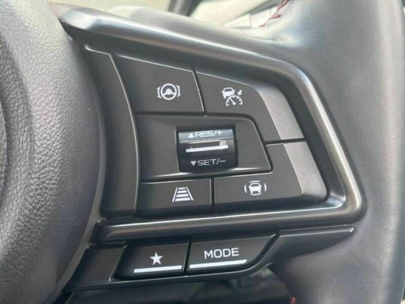 LEVORG-4