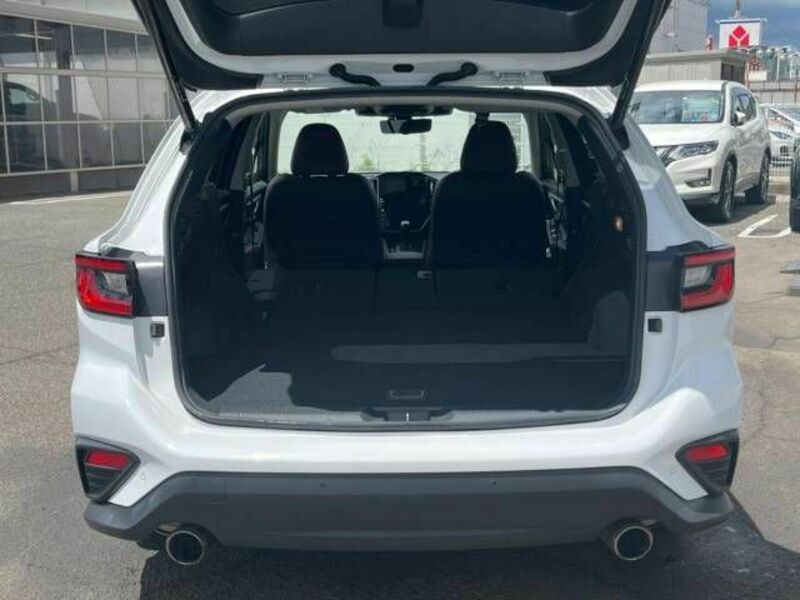 LEVORG-9