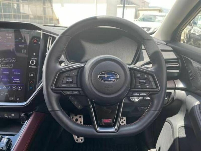 LEVORG-10