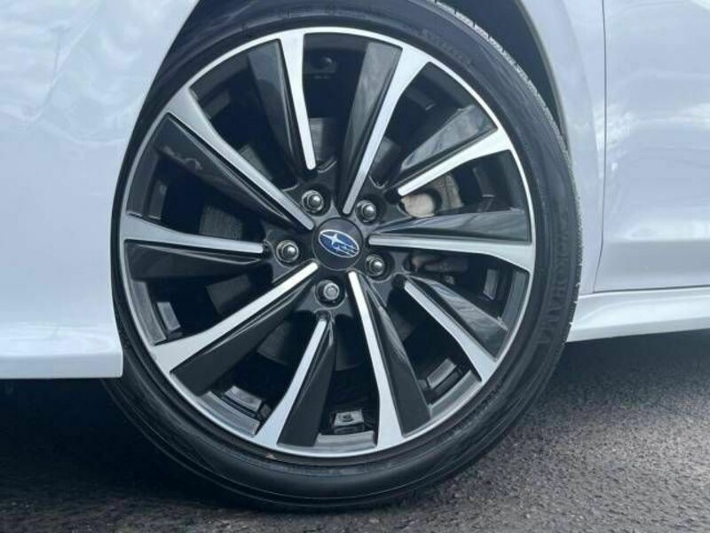 LEVORG-12