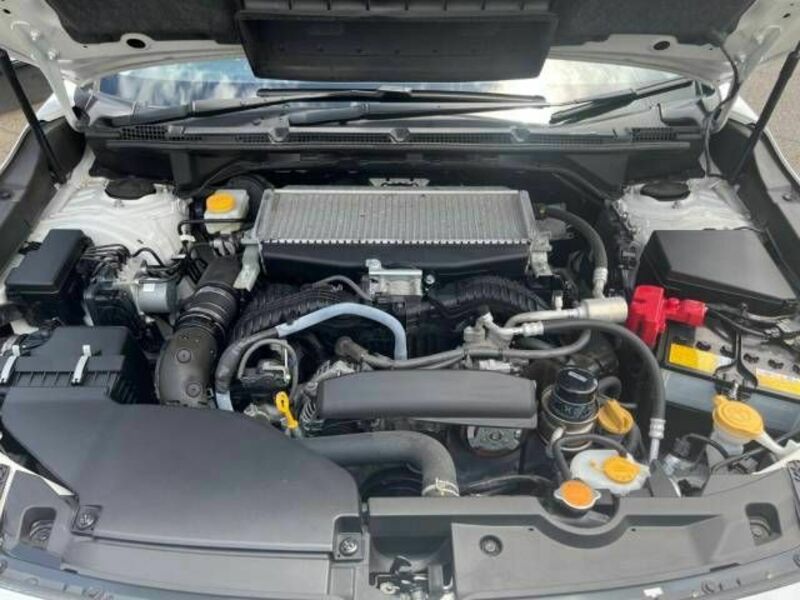 LEVORG-17