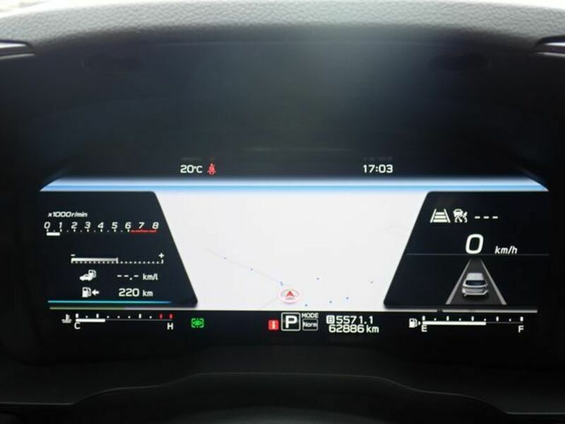 LEVORG-8