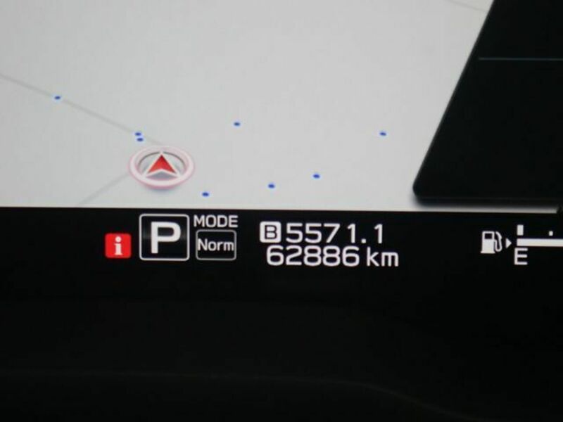 LEVORG-9
