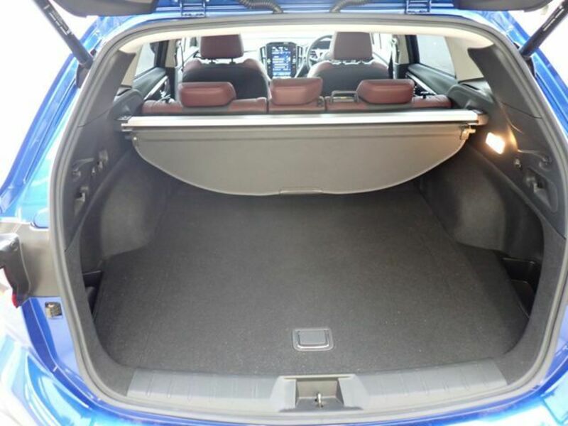 LEVORG-16