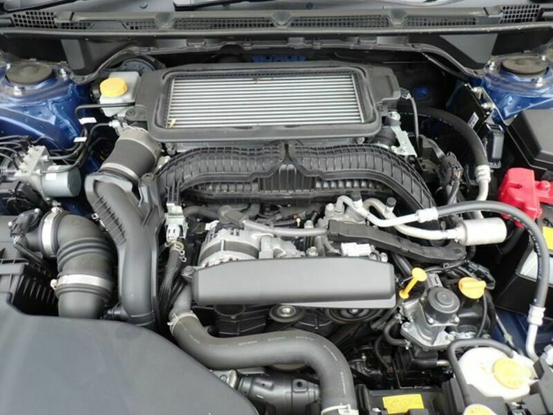 LEVORG-22