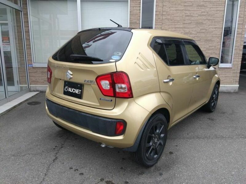 IGNIS