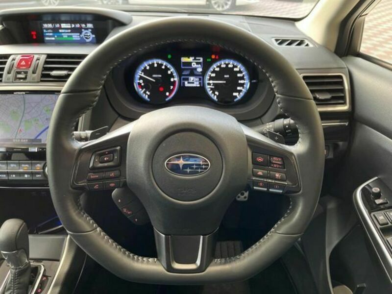 LEVORG-9