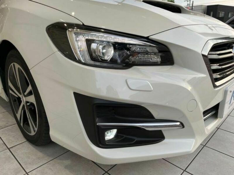 LEVORG-13
