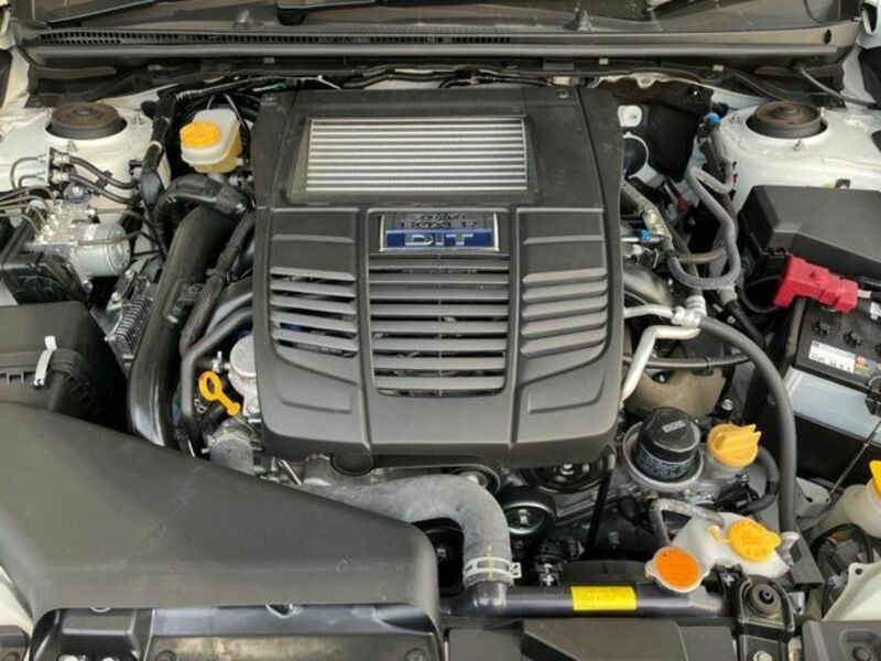LEVORG-18
