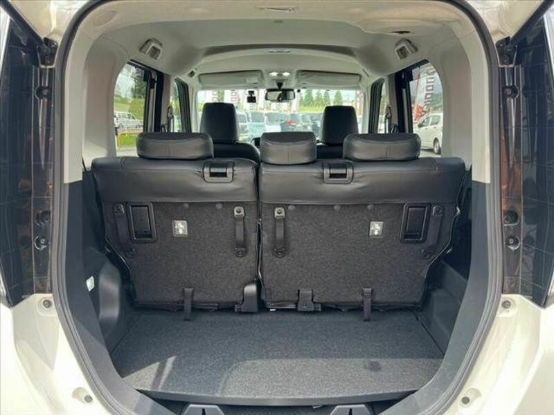 ROOMY-19
