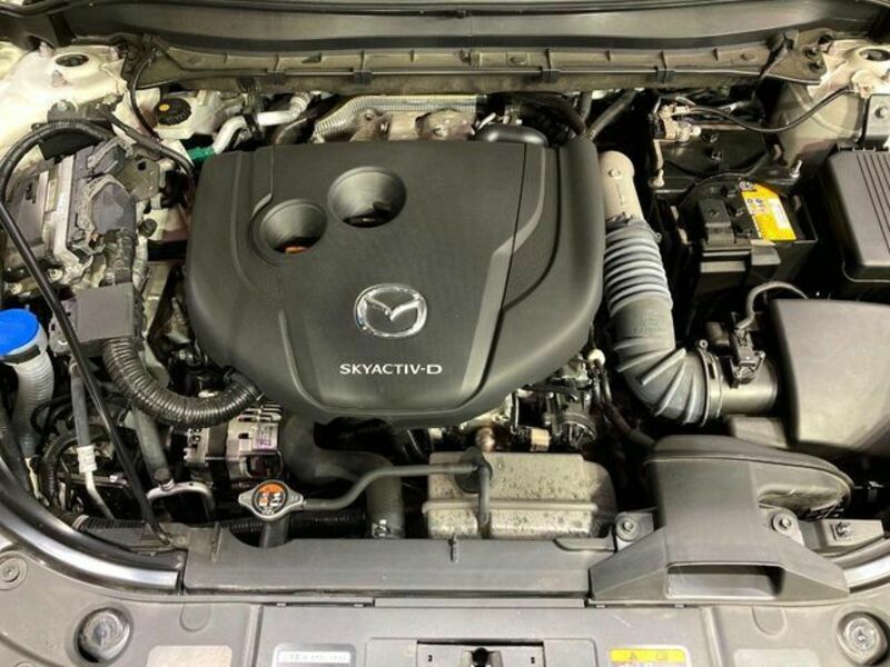 CX-5-17