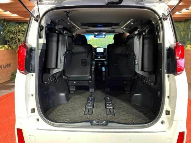 ALPHARD-11
