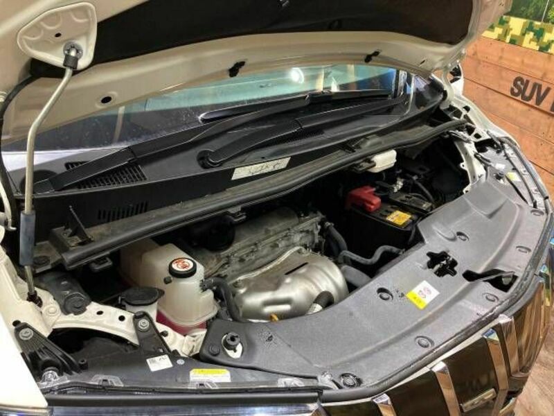 ALPHARD-19