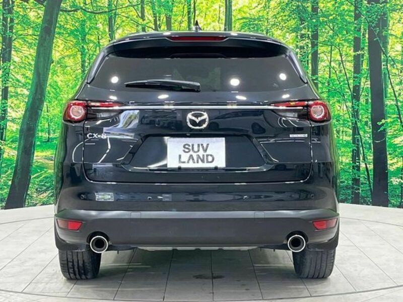CX-8