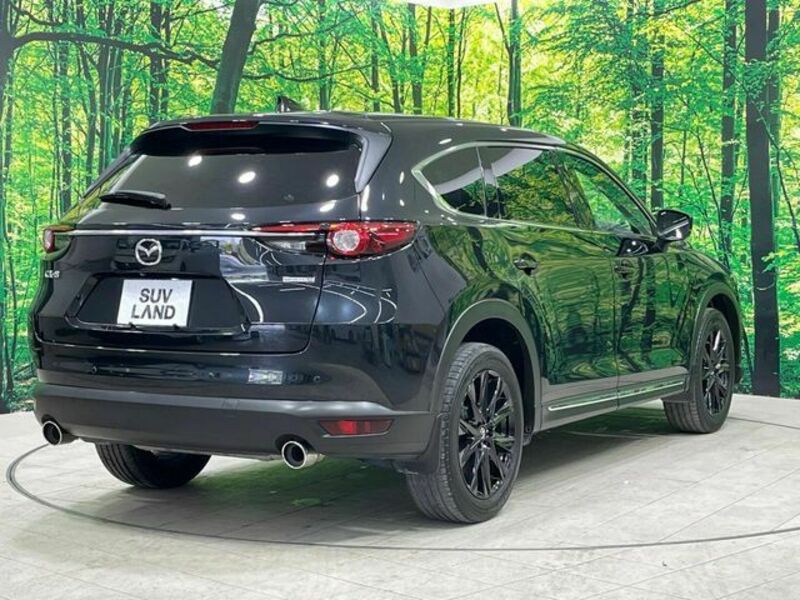 CX-8