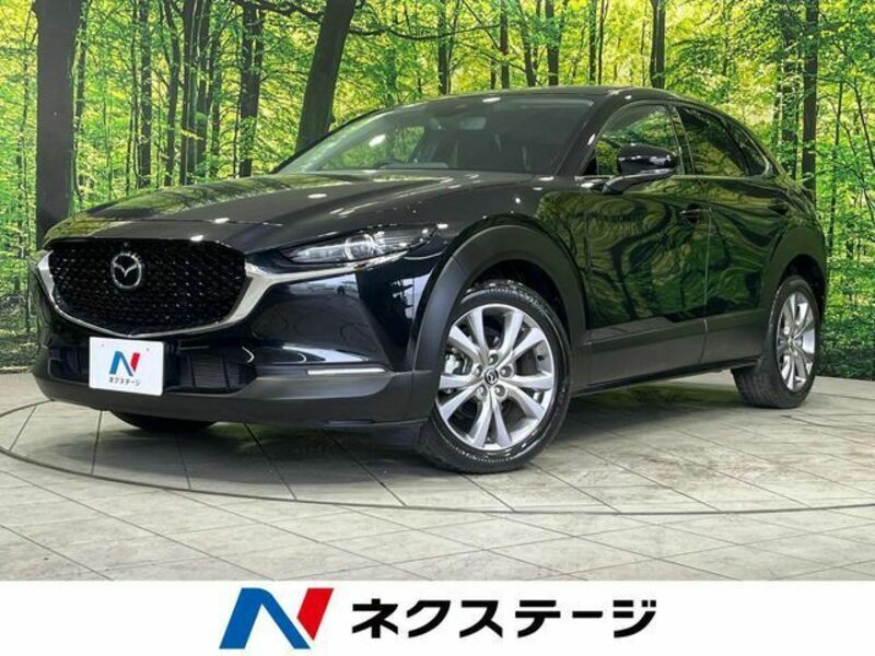 CX-30