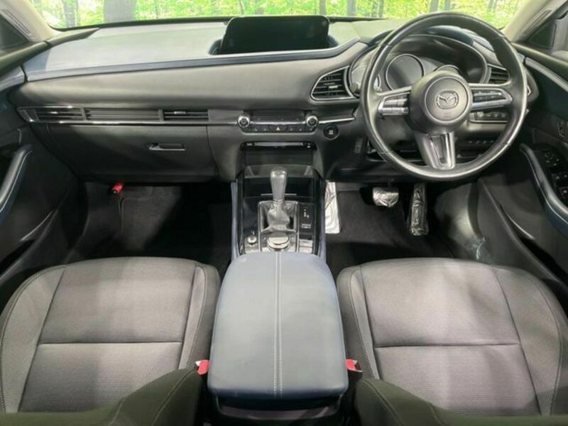 CX-30-1