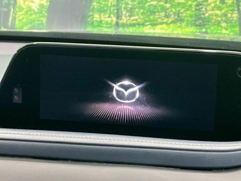 CX-30-2