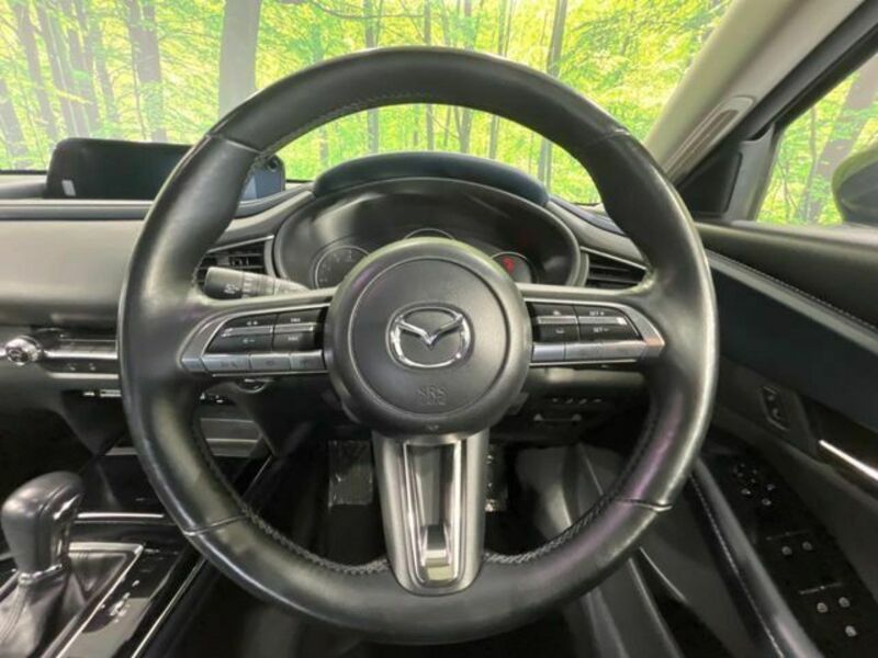 CX-30-11