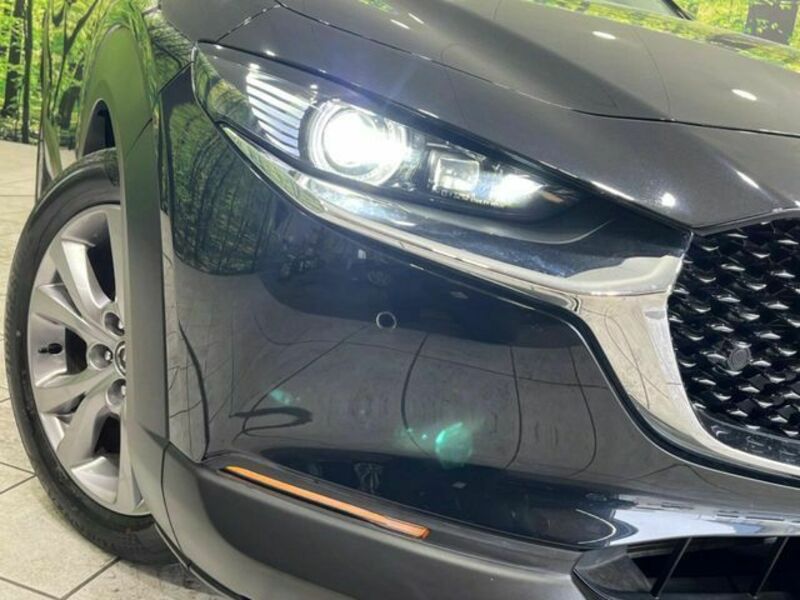 CX-30-12
