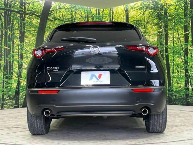 CX-30-15