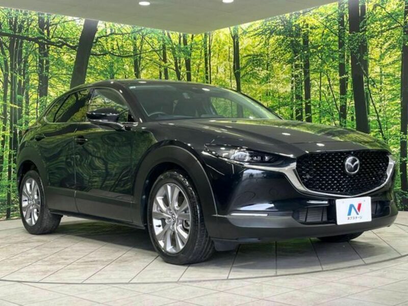 CX-30-16