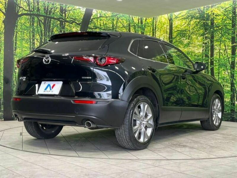 CX-30-17