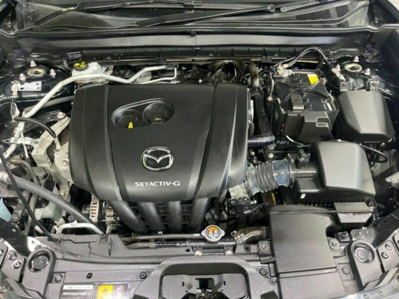 CX-30-18