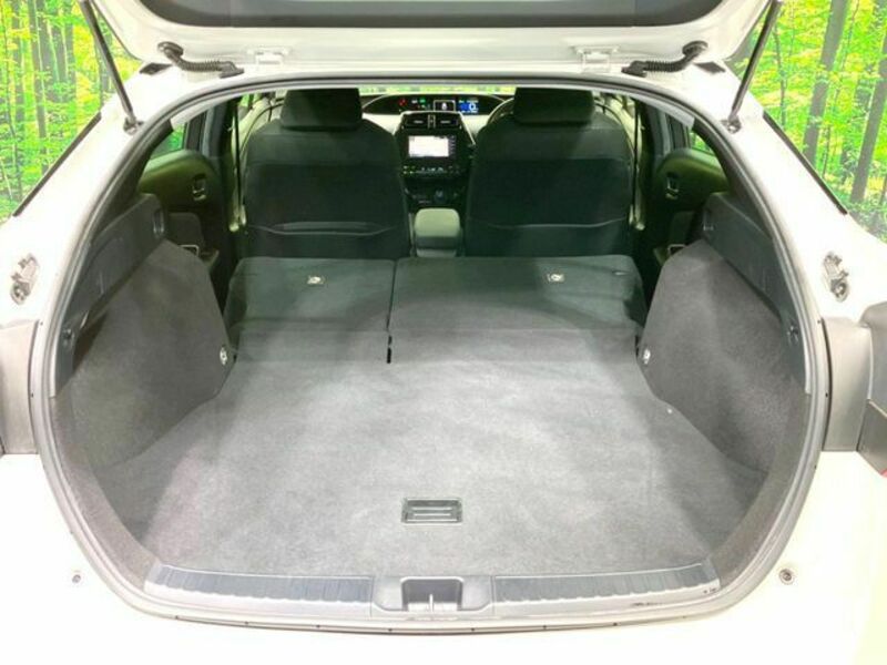 PRIUS-10